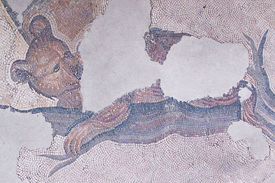 bear mosaic in the Great Palace Mosaic Museum, Sultanahmet, Istanbul at The Cheshire Cat Blog