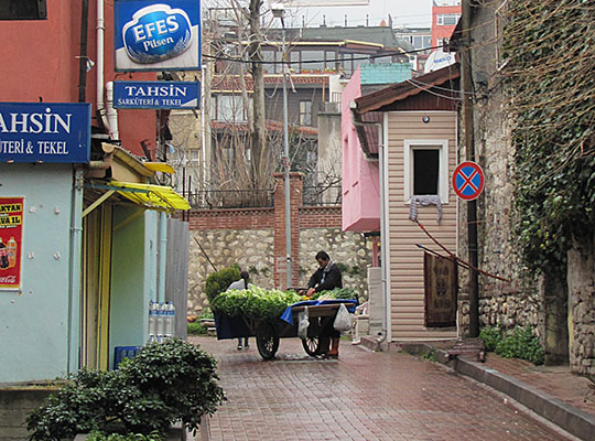 fruit and vegetable seller, Istanbul at The Cheshire Cat Blog