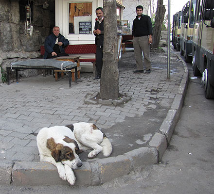 bus station, Istanbul