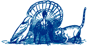 they were married next day by the Turkey who lives on the hill they were married next day by the Turkey who lives on the hill