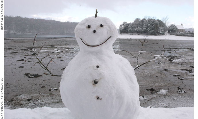 A snowpunk near Saint Tysilio's island by Gordon Mcleod at The Cheshire Cat Blog