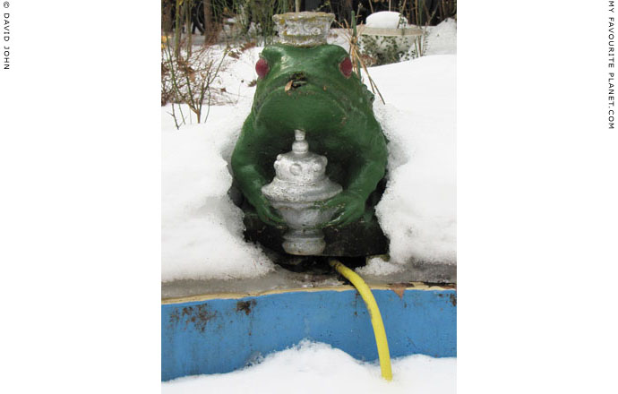 The frog prince by David John at The Cheshire Cat Blog The frog prince by David John at The Cheshire Cat Blog