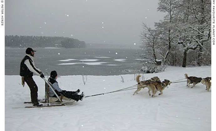 Dog-sledding on Langer See near Grünau by Peter Hinze at The Cheshire Cat Blog Dog-sledding on Langer See near Grünau by Peter Hinze at The Cheshire Cat Blog