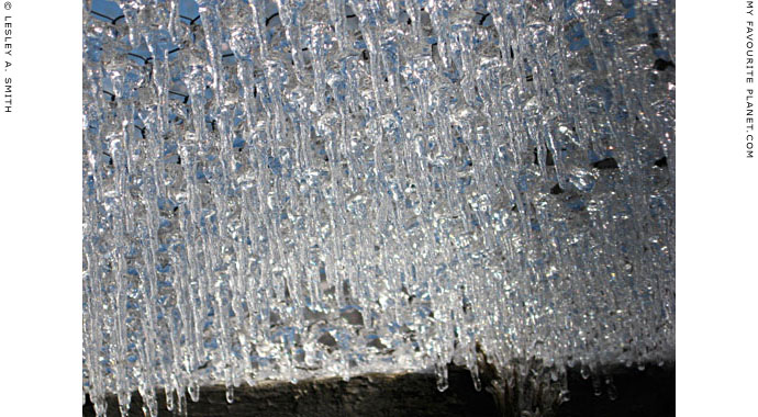 Icicles on the chicken coop by Lesley A. Smith, Massachusetts, USA at The Cheshire Cat Blog