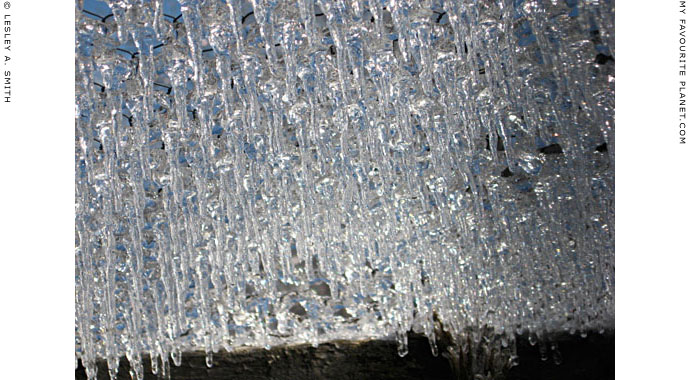 Icicles on the chicken coop by Lesley A. Smith, Massachusetts, USA at The Cheshire Cat Blog Icicles on the chicken coop by Lesley A. Smith, Massachusetts, USA at The Cheshire Cat Blog