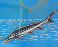 Persian sturgeon fish on a caviar can, Isla Afortunada at The Cheshire Cat Blog