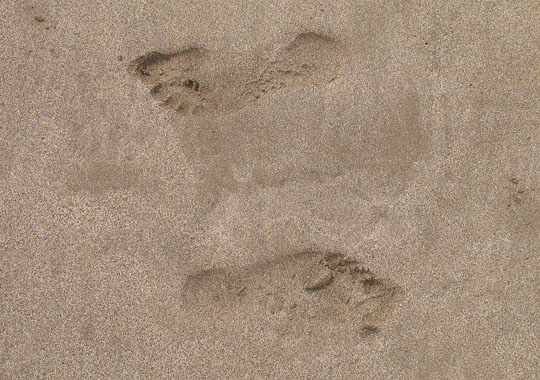 Footprints in the sand on Isla Afortunada at The Cheshire Cat Blog