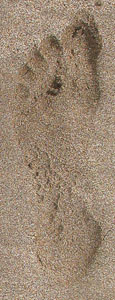 The beach footprint mystery, Isla Afortunada at The Cheshire Cat Blog