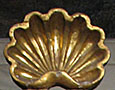 Golden seashell, Isla Afortunada at The Cheshire Cat Blog