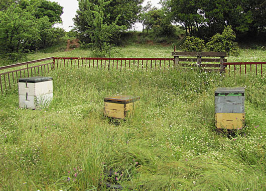 Beehives in Meteora, Greece at The Cheshire Cat Blog Beehives in Meteora, Greece at The Cheshire Cat Blog