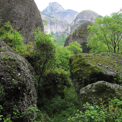 Trees growing among the rocks of Meteora, Greece at The Cheshire Cat Blog