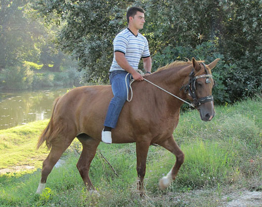 horse riding in Didymoteicho, Thrace, Greece at The Cheshire Cat Blog