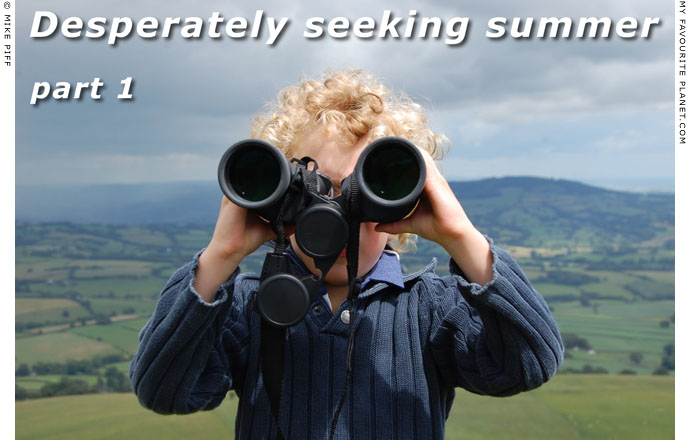 Desperately seeking summer part 1 at The Cheshire Cat Blog Desperately seeking summer part 1 at The Cheshire Cat Blog