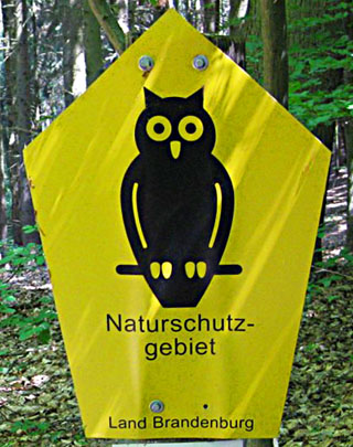 Nature reserve owl, Grumsin, Brandenburg, east Germany at The Cheshire Cat Blog