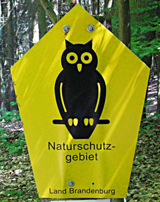 Nature reserve owl, Grumsin, Brandenburg, Germany at The Cheshire Cat Blog Nature reserve owl, Grumsin, Brandenburg, east Germany at The Cheshire Cat Blog