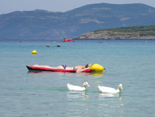 Duck day afternoon in Stoupa, near Kalamata, Peloponnese, Greece at The Cheshire Cat Blog