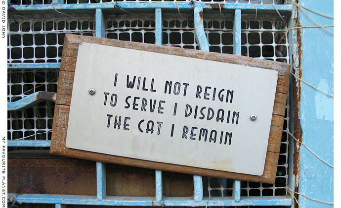 To serve I disdain at The Cheshire Cat Blog To serve I disdain at The Cheshire Cat Blog
