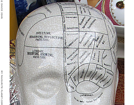 Phrenology model in an Athens junk shop at The Cheshire Cat Blog