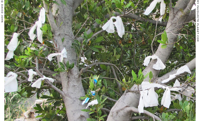 Pieces of cloth as tokens of wishes and prayers tied to a tree at the Cave of the Seven Sleepers, Ephesus, Turkey at The Cheshire Cat Blog