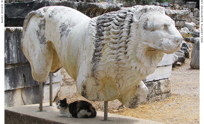 A cat sits in the shade of an ancient marble lion in Didyma, Aydin Province, Turkey at The Cheshire Cat Blog