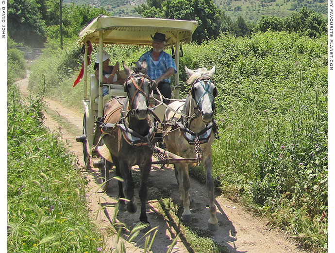 A horse-drawn phaeton carriage taking tourists for a ride around Ephesus, Turkey at The Cheshire Cat Blog A horse-drawn phaeton carriage taking tourists for a ride around Ephesus, Turkey at The Cheshire Cat Blog