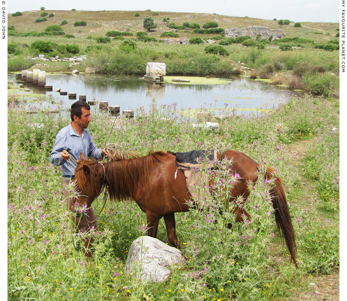 A cowboy and his pony in the harbour of ancient Miletos, Turkey at The Cheshire Cat Blog