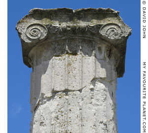 An Ionic column capital of the House of Dionysos in Pella