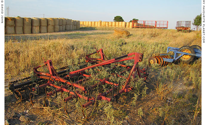 Hay bales in a field in Pella, Macedonia, Greece at The Cheshire Cat Blog