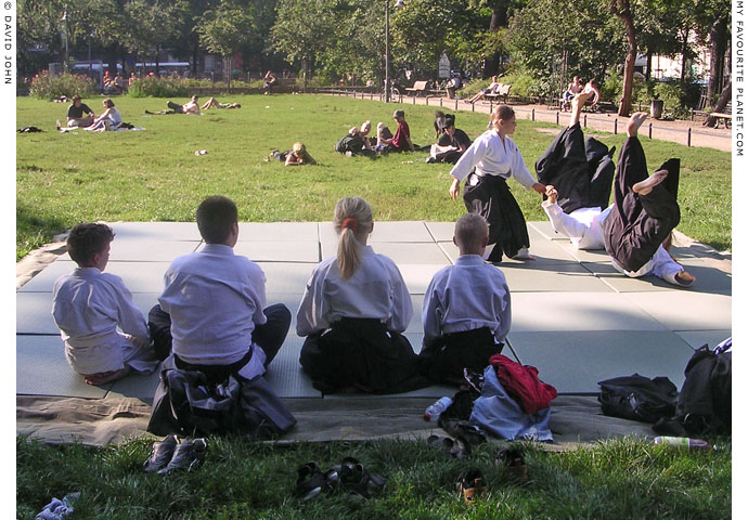 Friedrichshain children demonstrate Aikido at The Cheshire Cat Blog