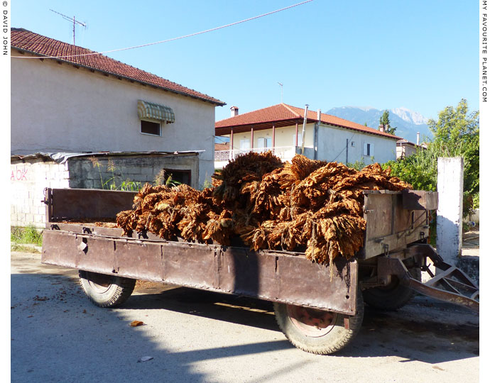 A wagon loaded with tobacco in Dion, Macedonia at The Cheshire Cat Blog