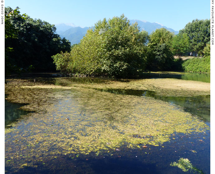 A small lake in Dion Archaeological Park, Macedonia at The Cheshire Cat Blog
