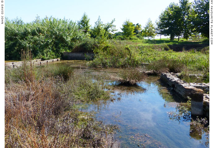 Submerged ruins, Dion Archaeological Park, Macedonia at The Cheshire Cat Blog