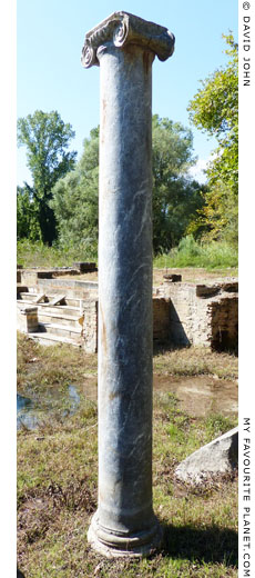 An Ionic column in the sanctuary of Isis, Dion, Macedonia, Greece at The Cheshire Cat Blog