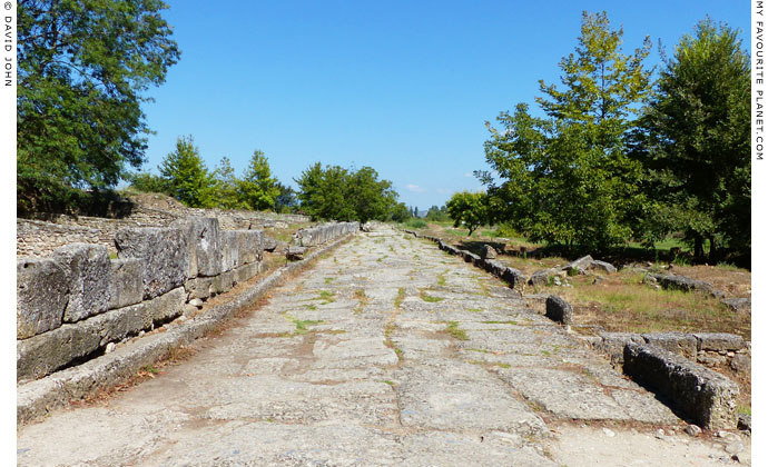 The Cardo, the main street of ancient Dion, Macedonia at The Cheshire Cat Blog