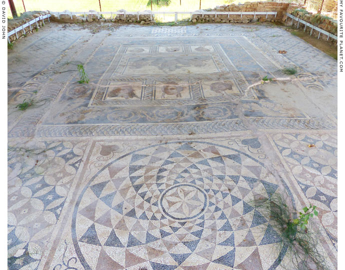 The floor mosiac of the banqueting hall of the Villa of Dionysos, Dion Archaeological Park, Macedonia at The Cheshire Cat Blog