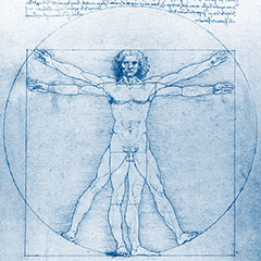 Vitruvian Man by Leonardo da Vinci at The Mysterious Edwin Drood's Column