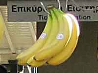 Bunch of bananas at The Mysterious Edwin Drood's Column Bunch of bananas at The Mysterious Edwin Drood's Column