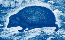 The Hedgehog at the Mysterious Edwin Drood's Column The Hedgehog at the Mysterious Edwin Drood's Column