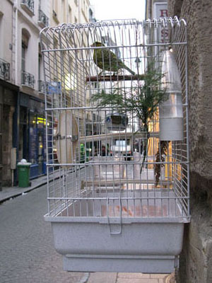 Bird cage in Paris at My Favourite Planet