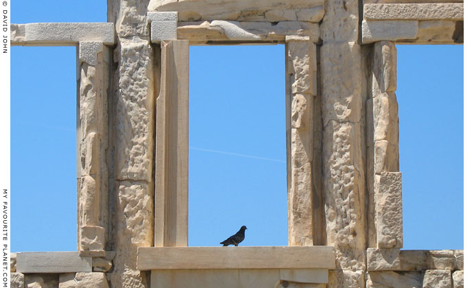 Windows in the the west side of the Erechtheion, Acropolis, Athens, Greece at My Favourite Planet Windows in the the west side of the Erechtheion, Acropolis, Athens, Greece at My Favourite Planet