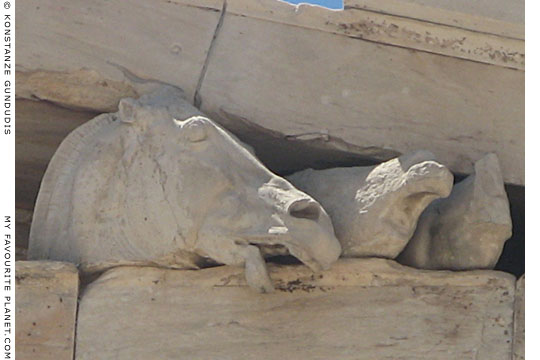 The head of the horse of the moon goddess Selene on the east pediment of the Parthenon, Athens, Greece at My Favourite Planet