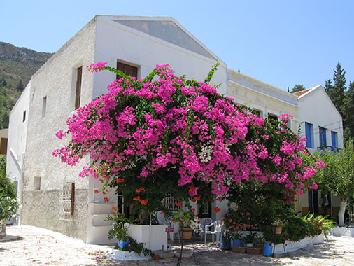 House with floral decoration in Kastellorizo, Greece at My Favourite Planet