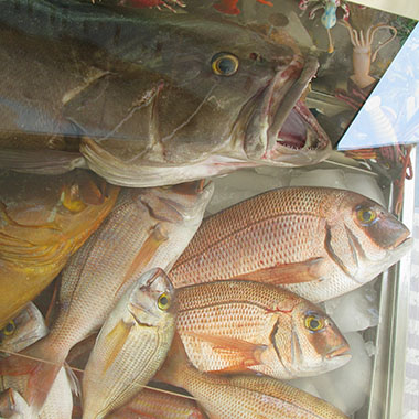 Fresh fish on display at a harbour front restaurant on Kastellorizo island, Greece at My Favourite Planet