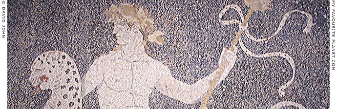 Mosaic of Dionysos riding a panther, Pella Archaeological Museum, Macedonia, Greece at My Favourite Planet Mosaic of Dionysos riding a panther, Pella Archaeological Museum, Macedonia, Greece at My Favourite Planet