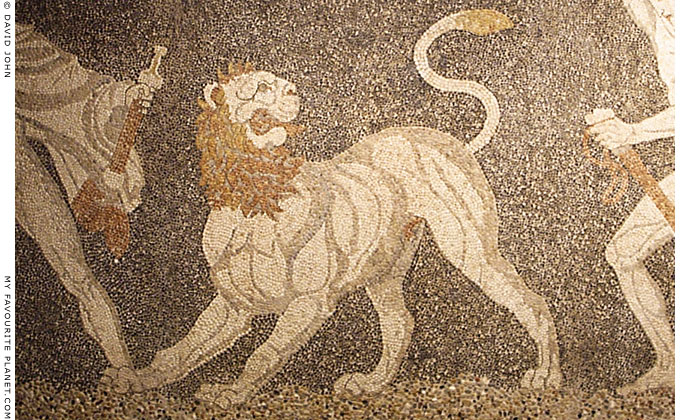 Detail of the Lion Hunt mosaic, Pella Archaeological Museum, Macedonia, Greece at My Favourite Planet Detail of the Lion Hunt mosaic, Pella Archaeological Museum, Macedonia, Greece at My Favourite Planet