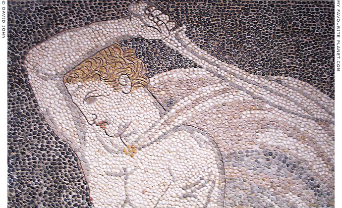 Detail of the Lion Hunt mosaic, Pella Archaeological Museum, Macedonia, Greece at My Favourite Planet