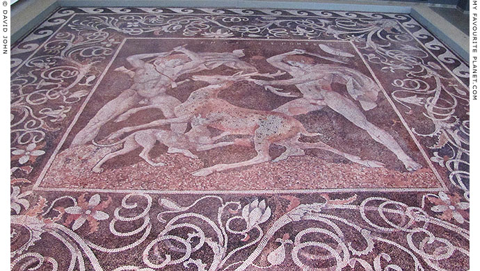 Detail of the Stag Hunt mosaic floor, Pella archaeological site, Macedonia, Greece at My Favourite Planet Detail of the Stag Hunt mosaic floor, Pella archaeological site, Macedonia, Greece at My Favourite Planet