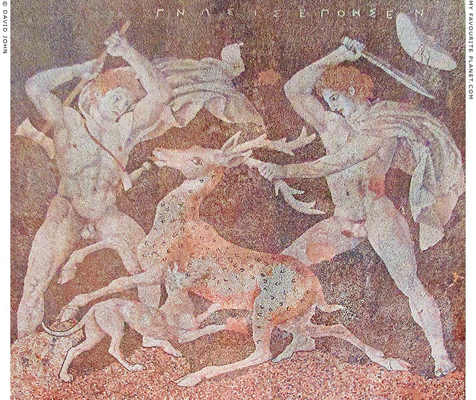 The signature of Gnoseis on the Stag Hunt mosaic, Pella, Macedonia, Greece at My Favourite Planet The signature of Gnoseis on the Stag Hunt mosaic, Pella, Macedonia, Greece at My Favourite Planet