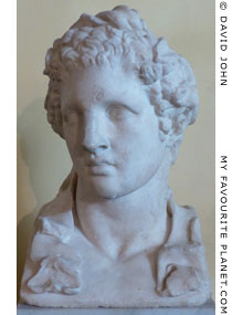 Bust of Alexander the Great in Rome at My Favourite Planet Bust of Alexander the Great in Rome at My Favourite Planet