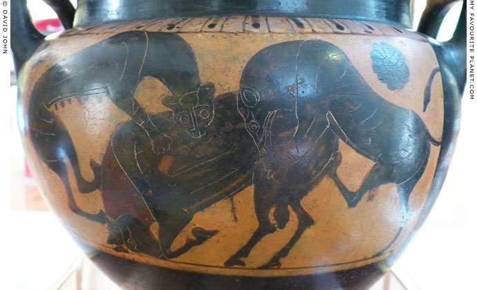 A lioness and a lion attacking a bull on an Attic black-figure column-krater at My Favourite Planet